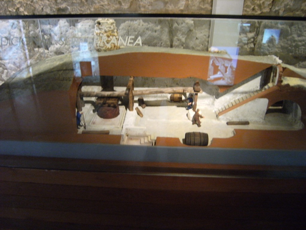 Museo del vino